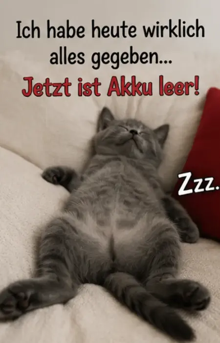 Lustige Gute Nacht Karte mit einem grauen Kätzchen, das völlig erschöpft rücklings auf einem hellen Sofa schläft.