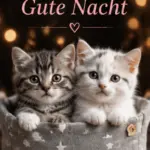 Schönen Abend und später eine Gute Nacht Grußkarte mit zwei süßen Katzenwelpen in einem grauen Korb mit Sternenmuster vor Lichtern.