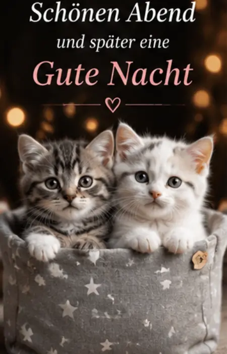 Schönen Abend und später eine Gute Nacht Grußkarte mit zwei süßen Katzenwelpen in einem grauen Korb mit Sternenmuster vor Lichtern.