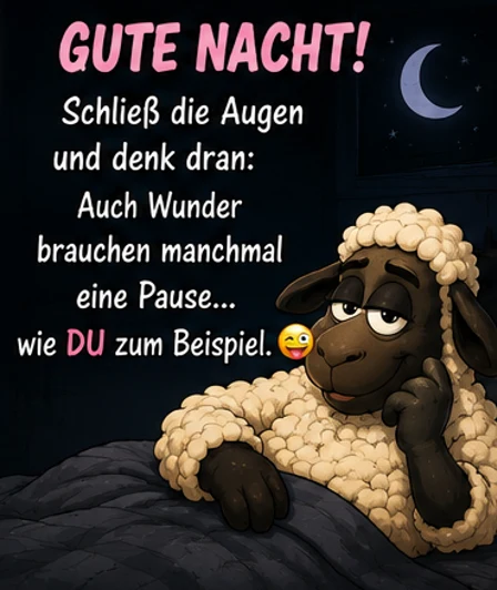 Gute Nacht Bilder lustig Schaf
