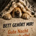 WhatsApp Gute Nacht Bild mit einem süßen Hund der sich unter einer Pfotenmuster Decke im Bett versteckt.